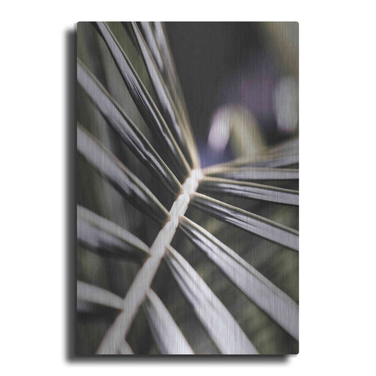 Luxe Metal Art 'Close Up XII' by Incado, Metal Wall Art