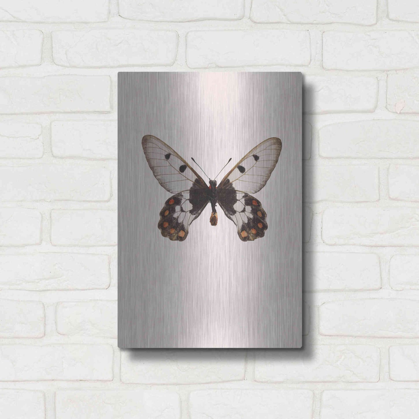 Luxe Metal Art 'Cressida Cressida' by Incado, Metal Wall Art,12x16