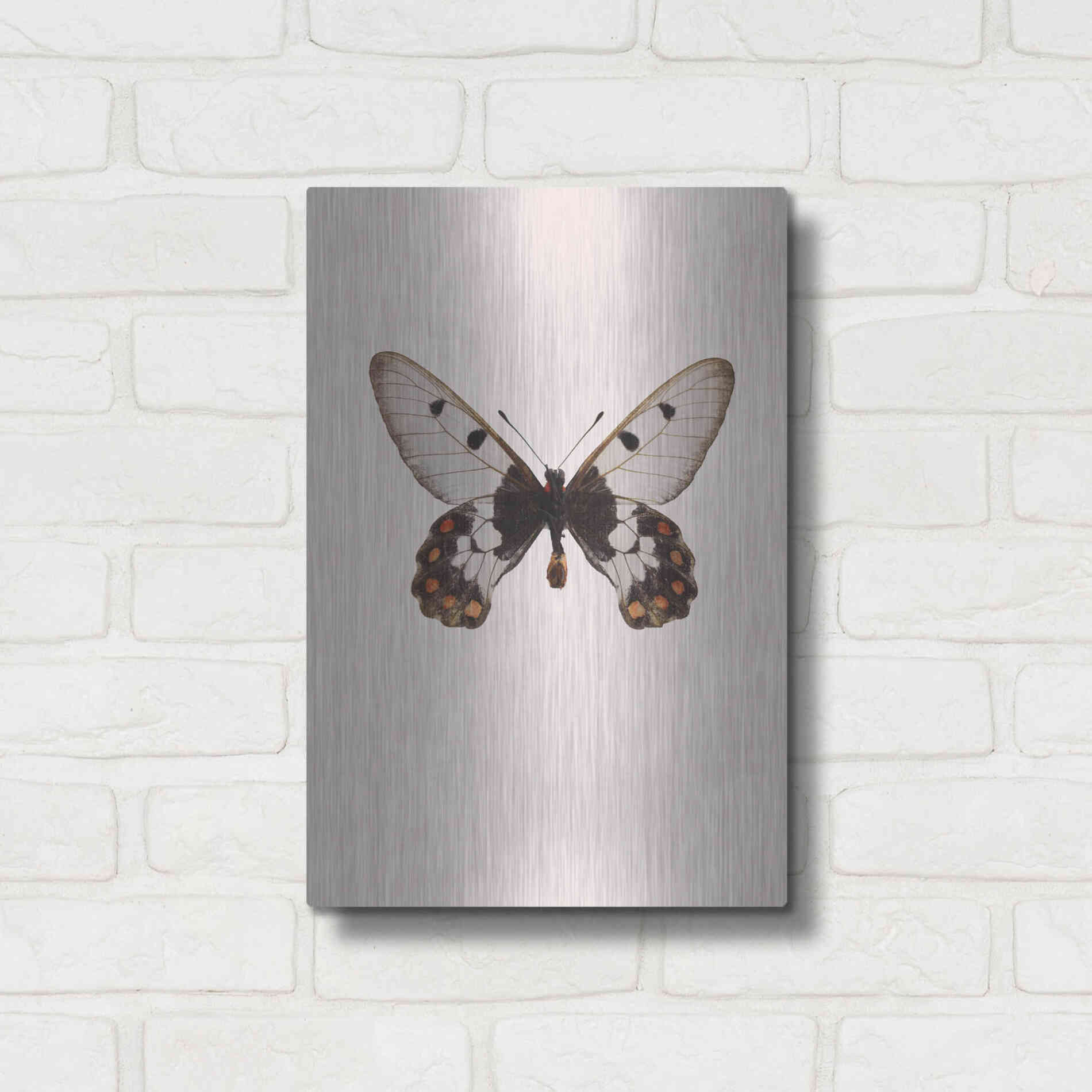 Luxe Metal Art 'Cressida Cressida' by Incado, Metal Wall Art,12x16