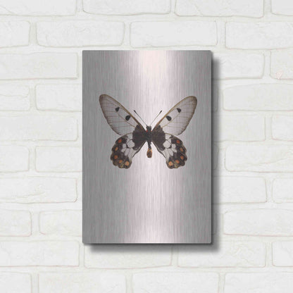 Luxe Metal Art 'Cressida Cressida' by Incado, Metal Wall Art,12x16