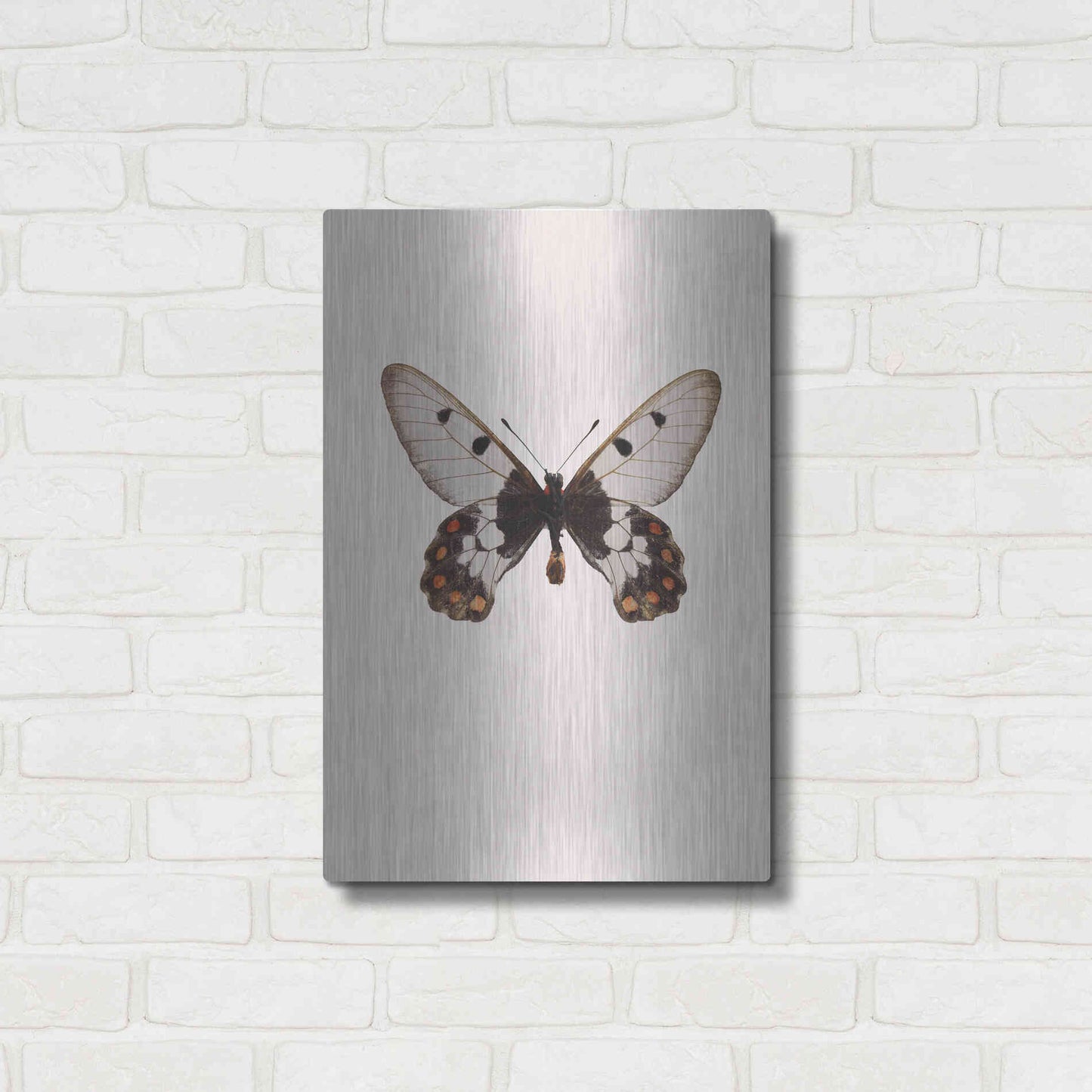 Luxe Metal Art 'Cressida Cressida' by Incado, Metal Wall Art,16x24