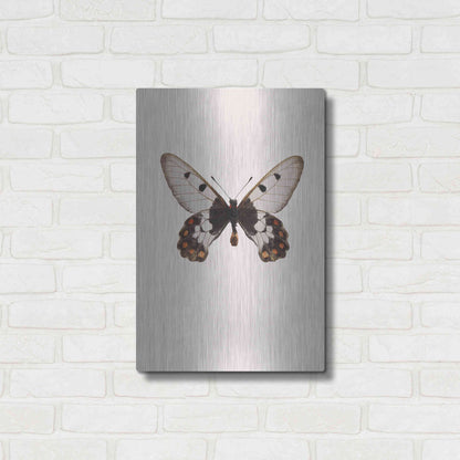 Luxe Metal Art 'Cressida Cressida' by Incado, Metal Wall Art,16x24