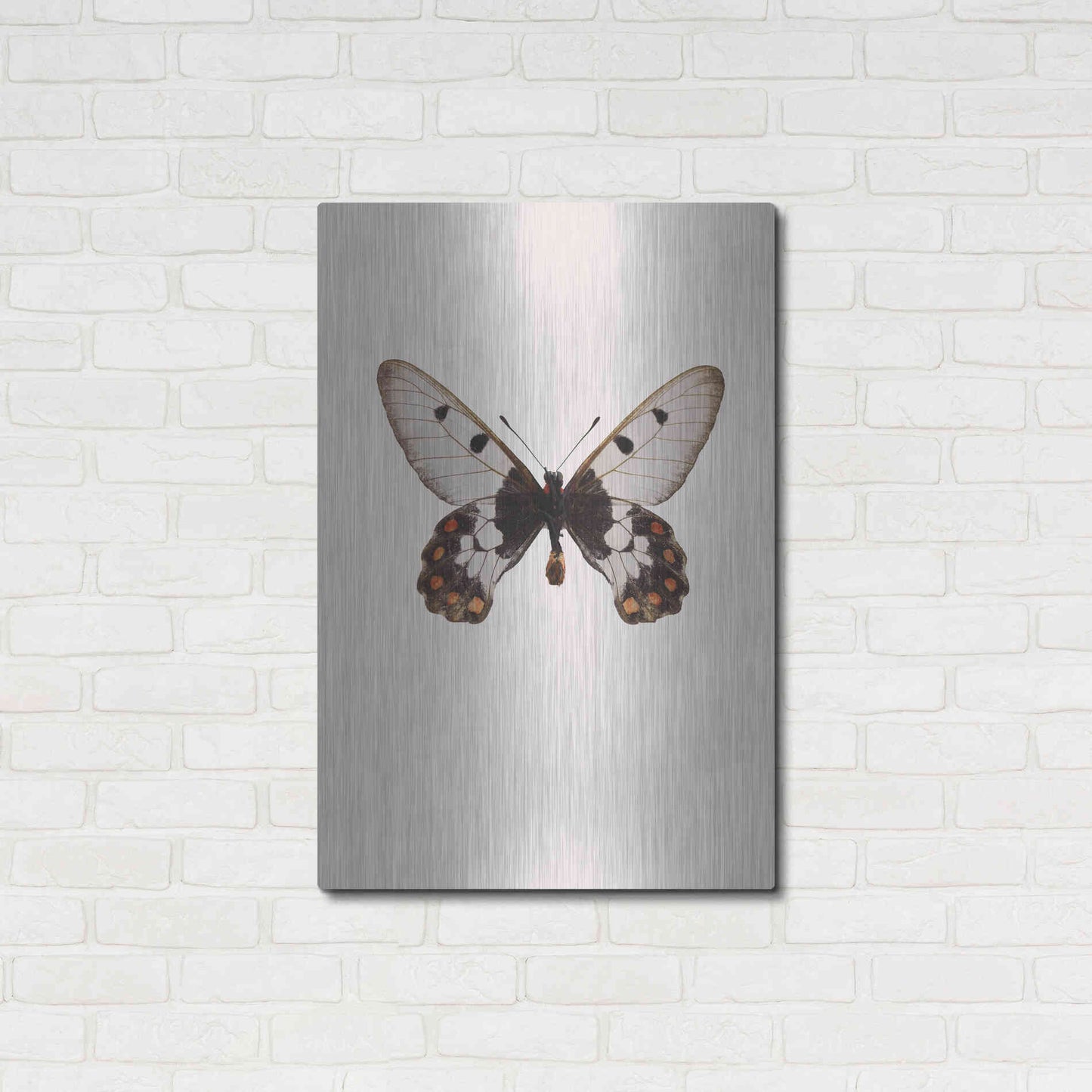 Luxe Metal Art 'Cressida Cressida' by Incado, Metal Wall Art,24x36