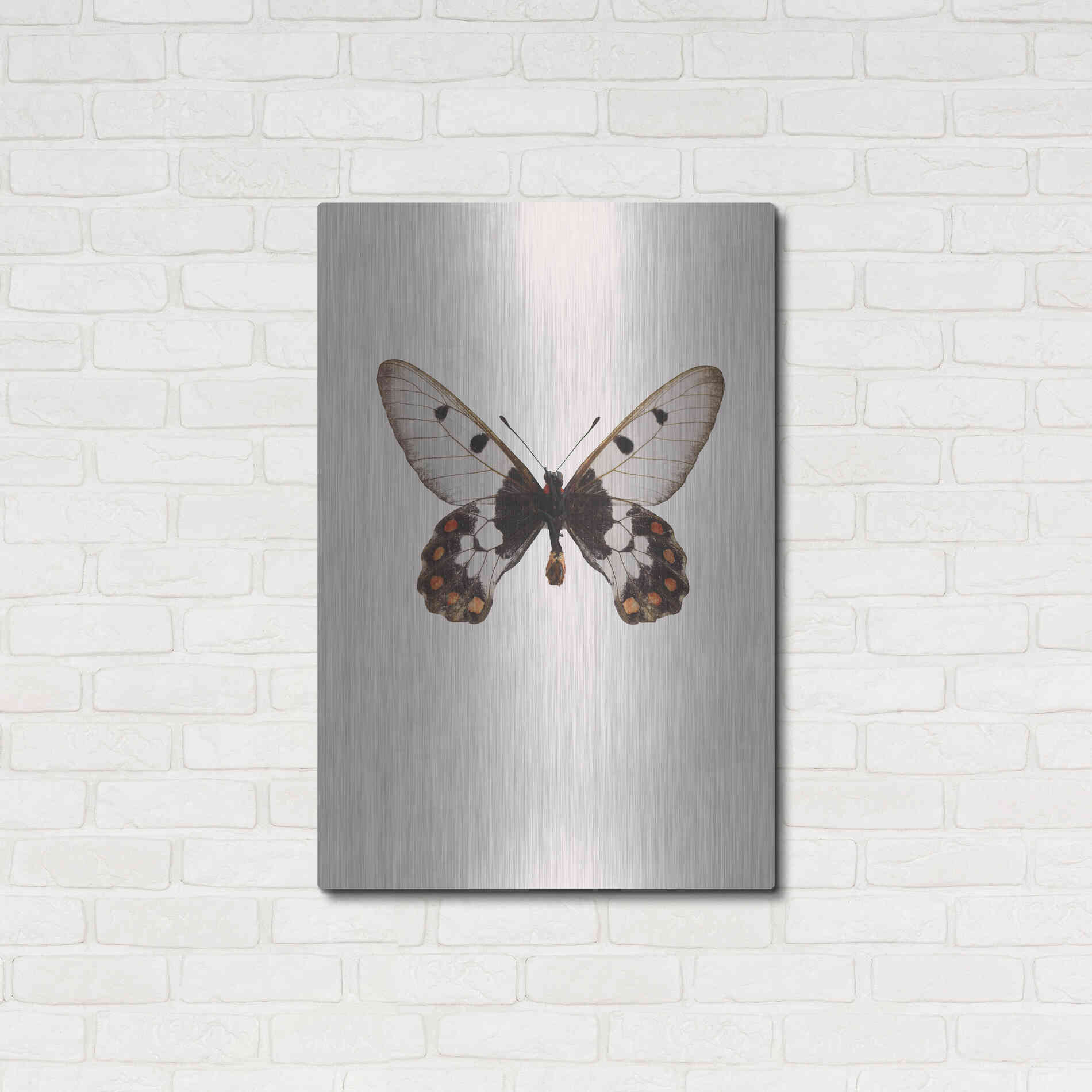 Luxe Metal Art 'Cressida Cressida' by Incado, Metal Wall Art,24x36