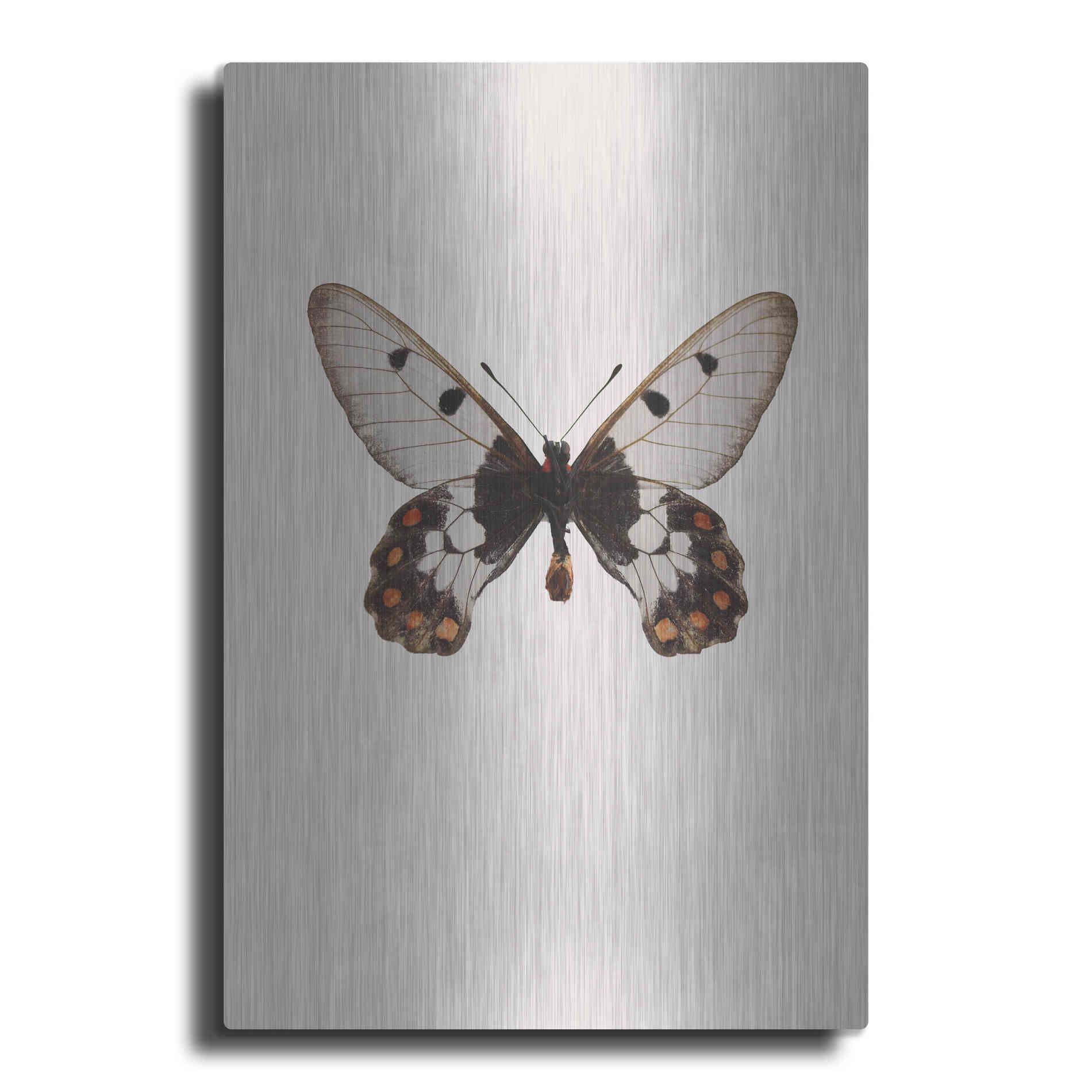 Luxe Metal Art 'Cressida Cressida' by Incado, Metal Wall Art