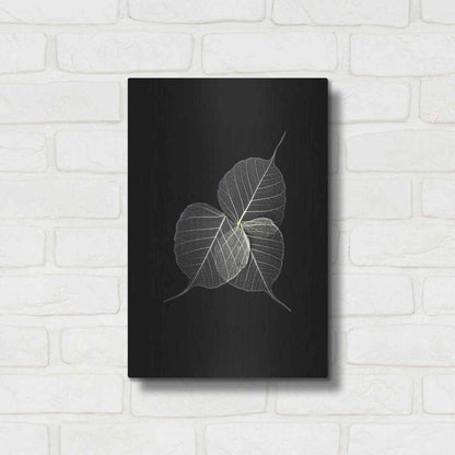 Luxe Metal Art 'Dark Leaves' by Incado, Metal Wall Art,12x16
