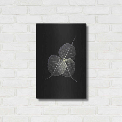 Luxe Metal Art 'Dark Leaves' by Incado, Metal Wall Art,16x24