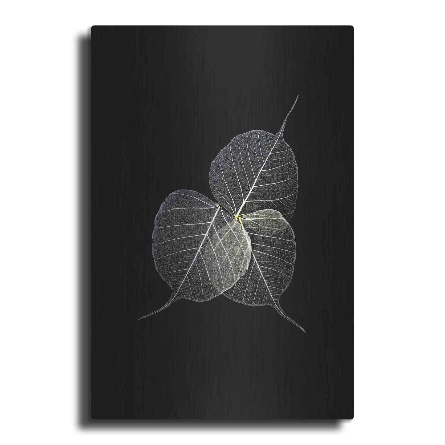 Luxe Metal Art 'Dark Leaves' by Incado, Metal Wall Art