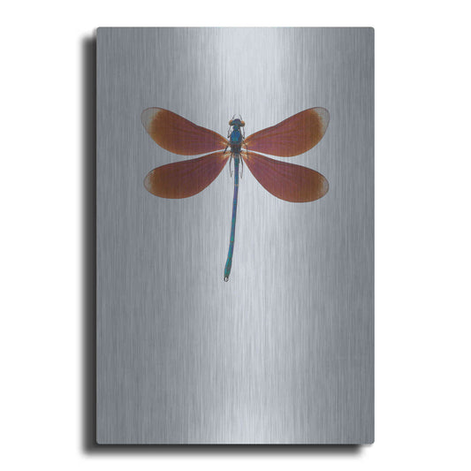 Luxe Metal Art 'Dragonfly II' by Incado, Metal Wall Art