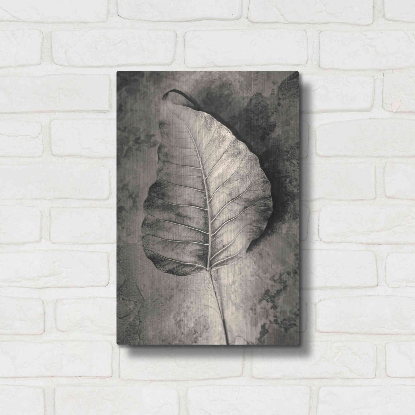 Luxe Metal Art 'Dried Leaf' by Incado, Metal Wall Art,12x16