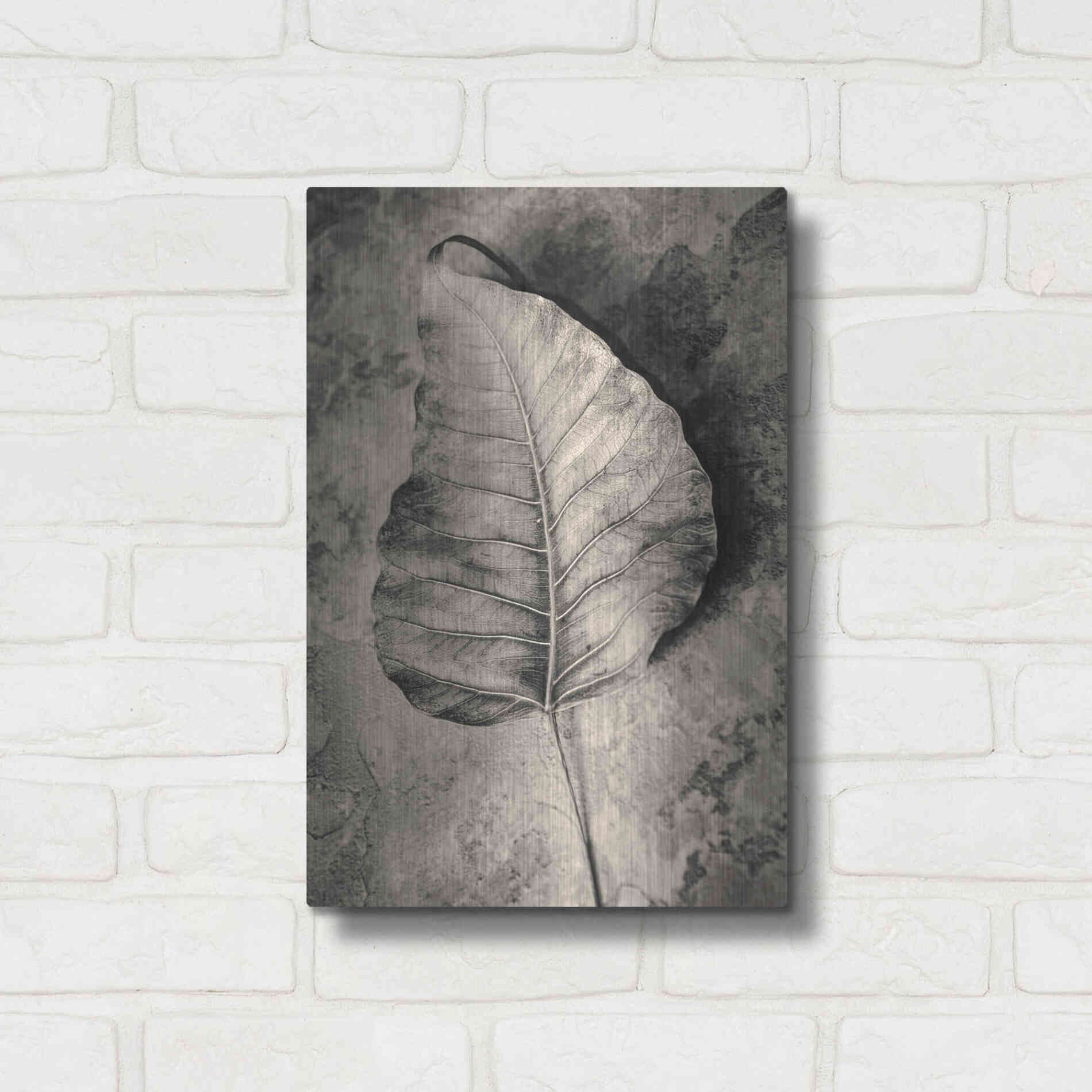 Luxe Metal Art 'Dried Leaf' by Incado, Metal Wall Art,12x16