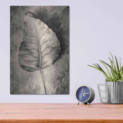Luxe Metal Art 'Dried Leaf' by Incado, Metal Wall Art,12x16