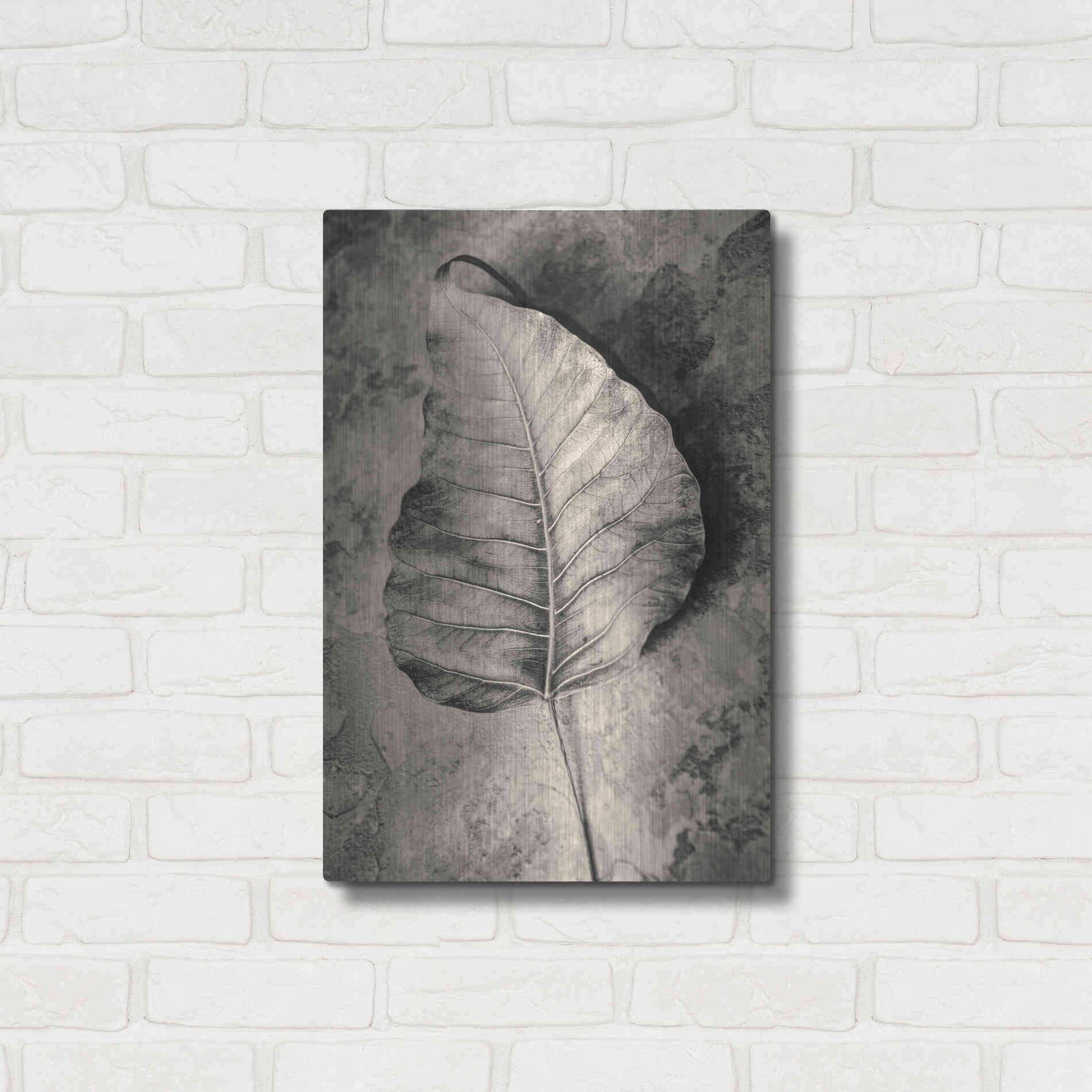 Luxe Metal Art 'Dried Leaf' by Incado, Metal Wall Art,16x24