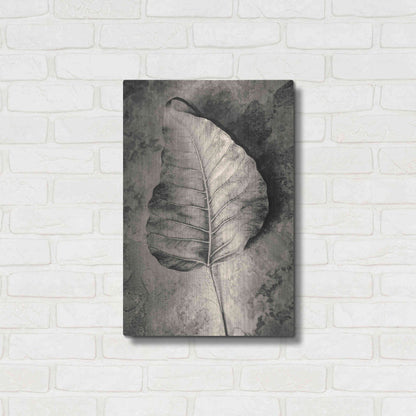 Luxe Metal Art 'Dried Leaf' by Incado, Metal Wall Art,16x24