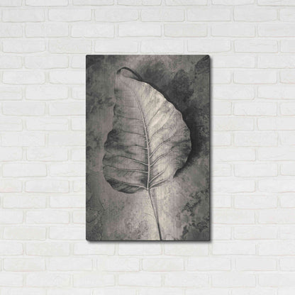 Luxe Metal Art 'Dried Leaf' by Incado, Metal Wall Art,24x36