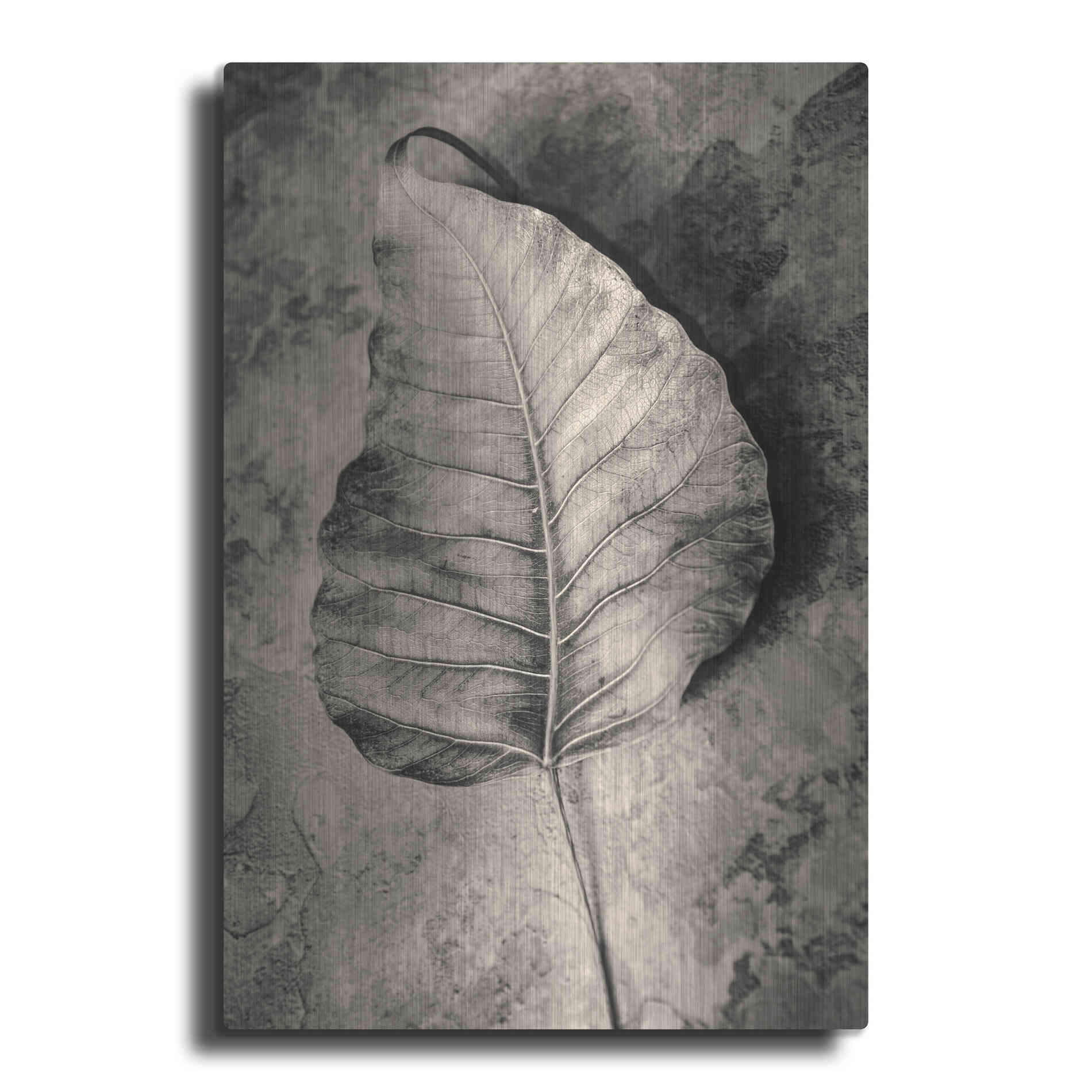 Luxe Metal Art 'Dried Leaf' by Incado, Metal Wall Art