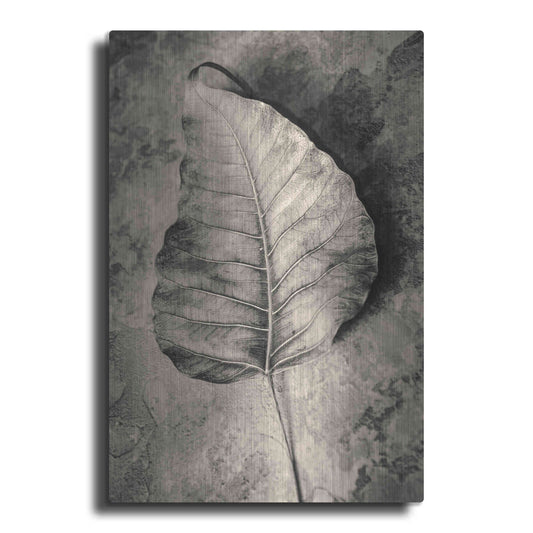Luxe Metal Art 'Dried Leaf' by Incado, Metal Wall Art