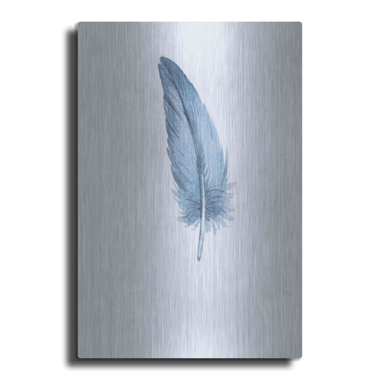 Luxe Metal Art 'Feather 1' by Incado, Metal Wall Art