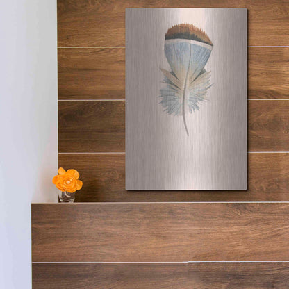 Luxe Metal Art 'Feather 4' by Incado, Metal Wall Art,12x16