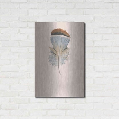 Luxe Metal Art 'Feather 4' by Incado, Metal Wall Art,24x36