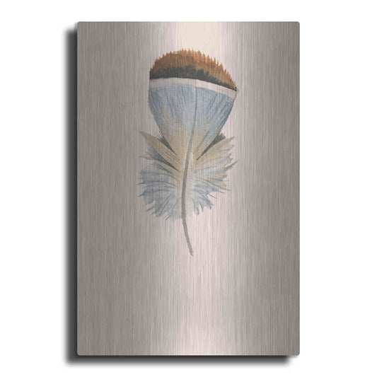 Luxe Metal Art 'Feather 4' by Incado, Metal Wall Art