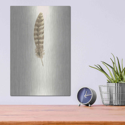 Luxe Metal Art 'Feather 7' by Incado, Metal Wall Art,12x16