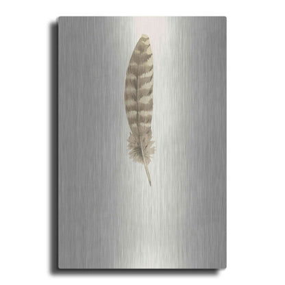 Luxe Metal Art 'Feather 7' by Incado, Metal Wall Art