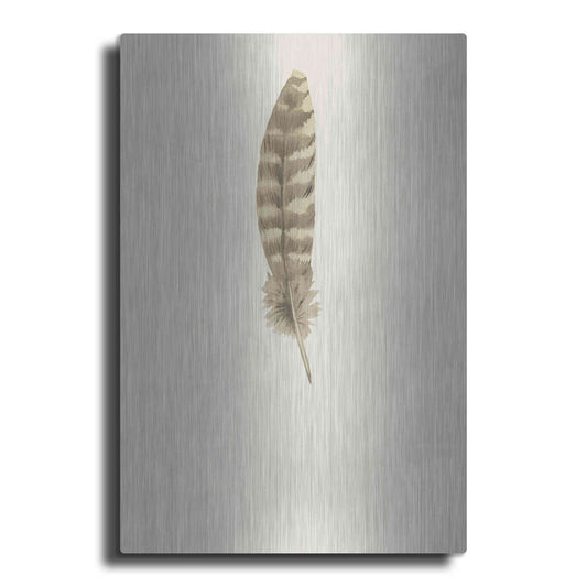 Luxe Metal Art 'Feather 7' by Incado, Metal Wall Art