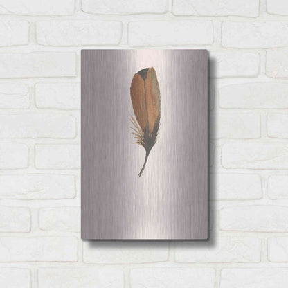 Luxe Metal Art 'Feather 8' by Incado, Metal Wall Art,12x16