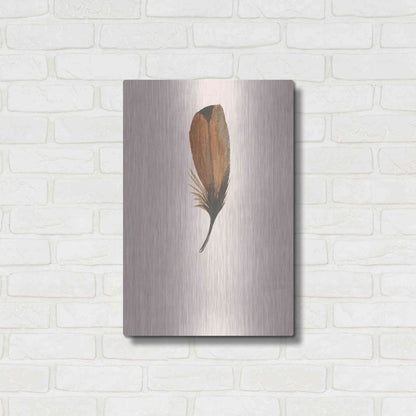 Luxe Metal Art 'Feather 8' by Incado, Metal Wall Art,16x24