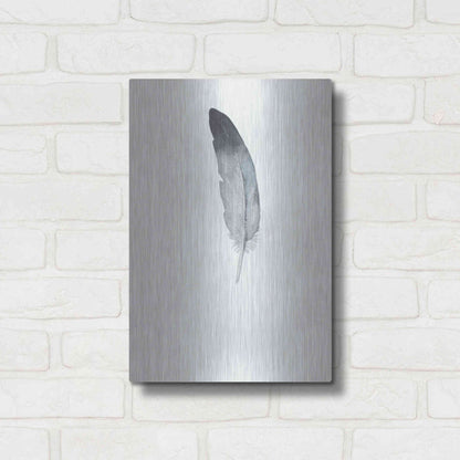 Luxe Metal Art 'Feather 9' by Incado, Metal Wall Art,12x16