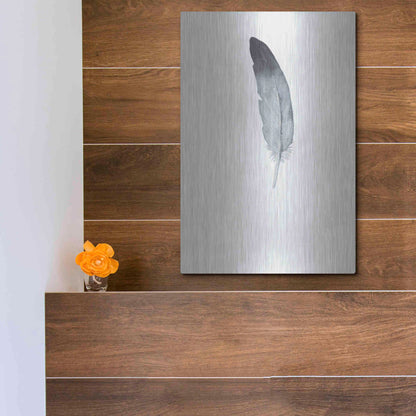 Luxe Metal Art 'Feather 9' by Incado, Metal Wall Art,12x16