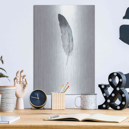 Luxe Metal Art 'Feather 9' by Incado, Metal Wall Art,12x16