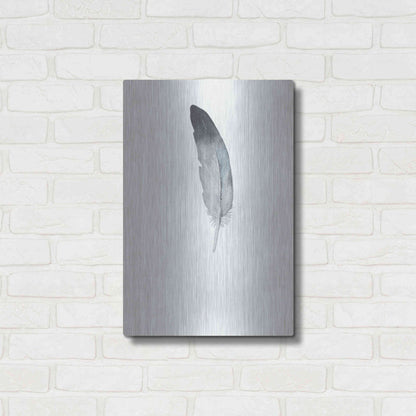 Luxe Metal Art 'Feather 9' by Incado, Metal Wall Art,16x24