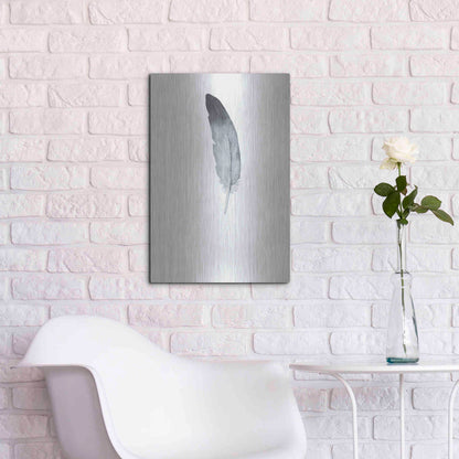 Luxe Metal Art 'Feather 9' by Incado, Metal Wall Art,16x24