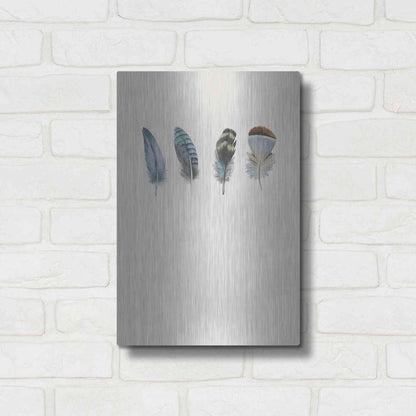 Luxe Metal Art 'Feather 11' by Incado, Metal Wall Art,12x16