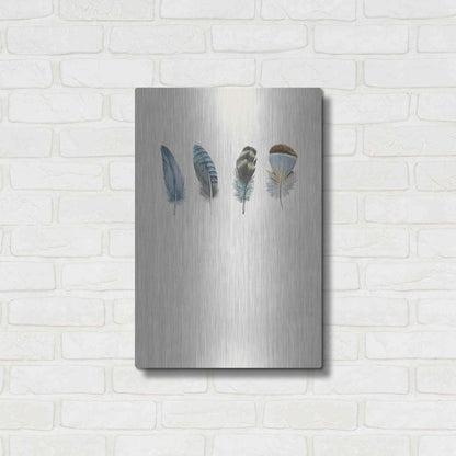 Luxe Metal Art 'Feather 11' by Incado, Metal Wall Art,16x24