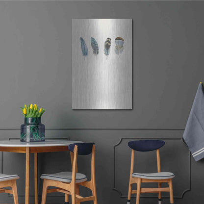 Luxe Metal Art 'Feather 11' by Incado, Metal Wall Art,24x36