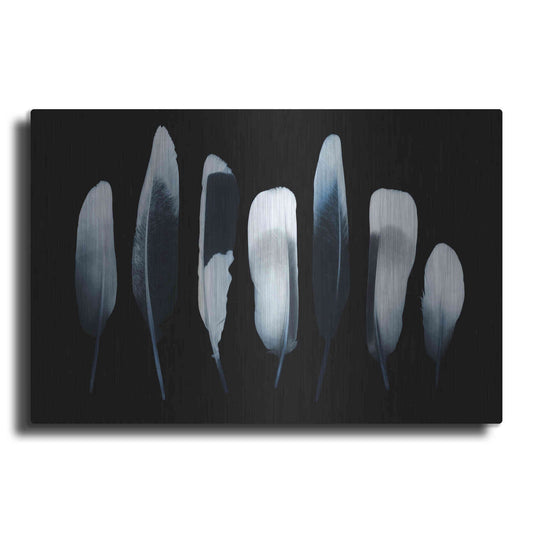 Luxe Metal Art 'Feathers' by Incado, Metal Wall Art