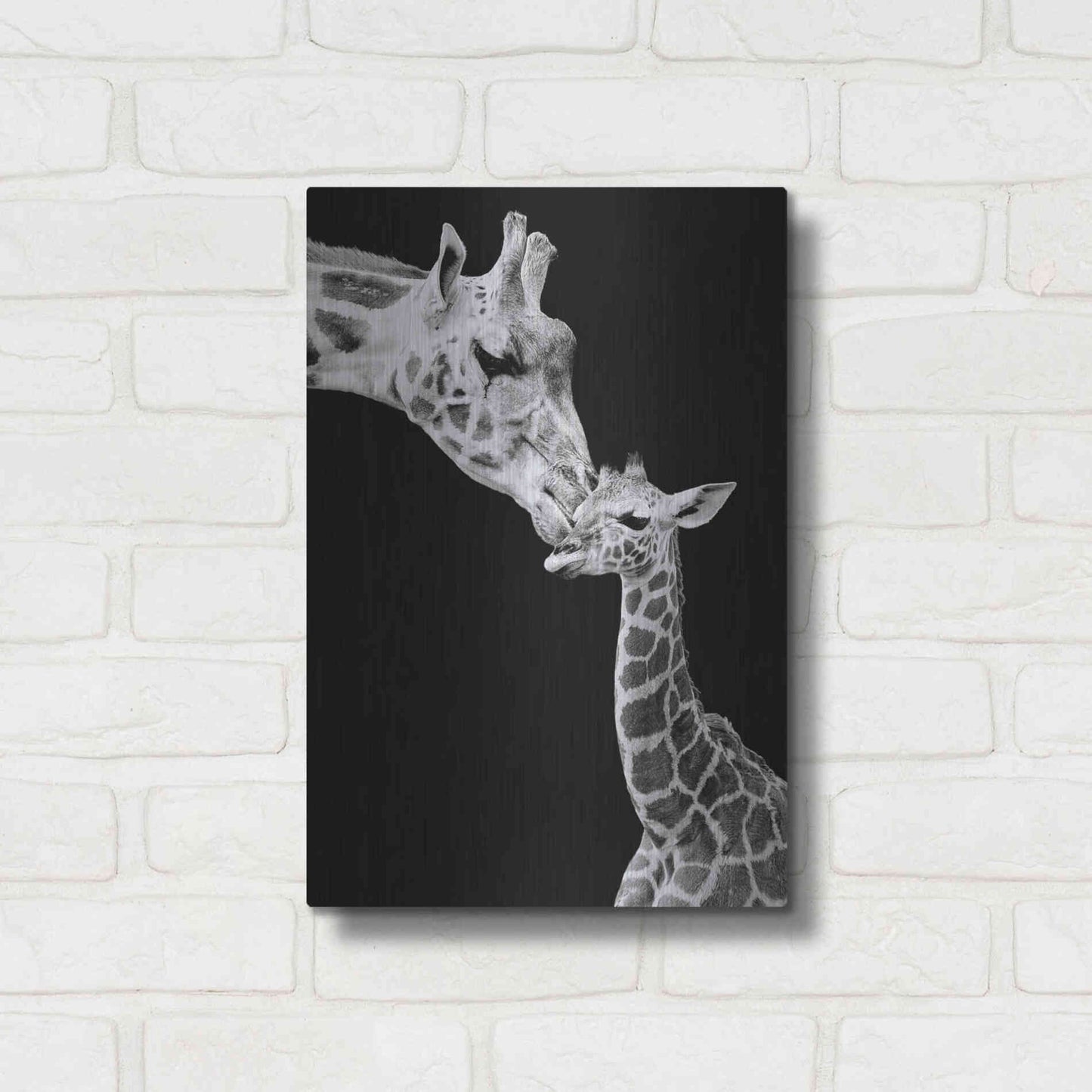 Luxe Metal Art 'First Love - Giraffe' by Incado, Metal Wall Art,12x16