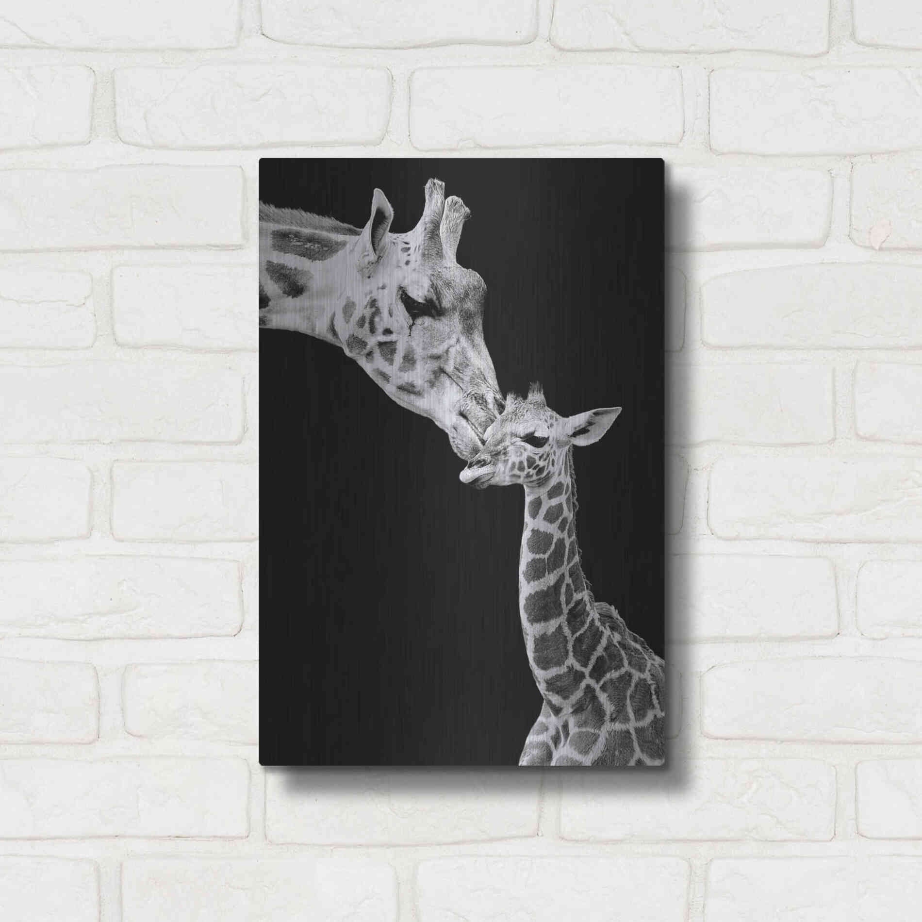 Luxe Metal Art 'First Love - Giraffe' by Incado, Metal Wall Art,12x16