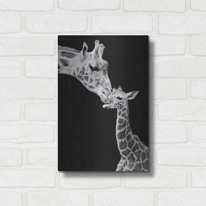 Luxe Metal Art 'First Love - Giraffe' by Incado, Metal Wall Art,12x16