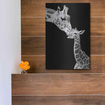 Luxe Metal Art 'First Love - Giraffe' by Incado, Metal Wall Art,12x16