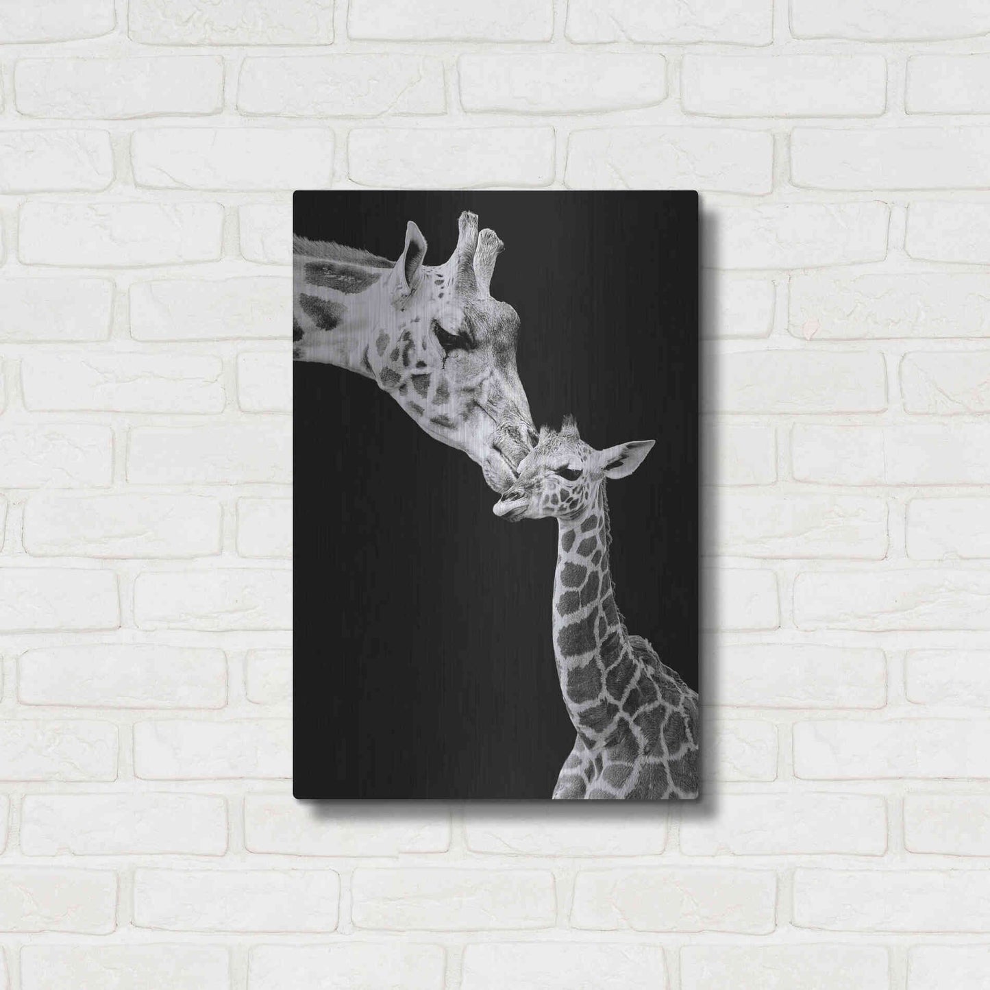 Luxe Metal Art 'First Love - Giraffe' by Incado, Metal Wall Art,16x24