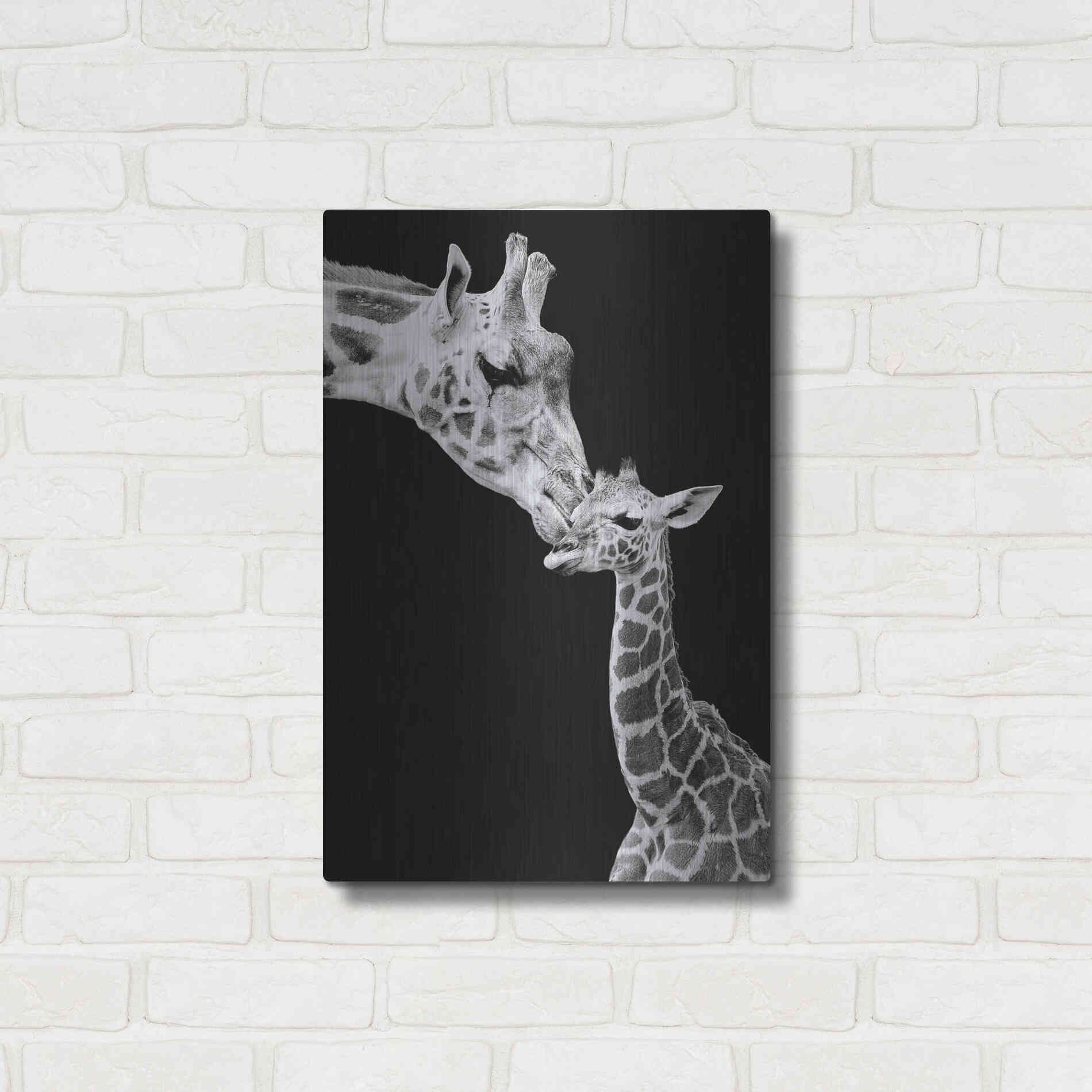 Luxe Metal Art 'First Love - Giraffe' by Incado, Metal Wall Art,16x24