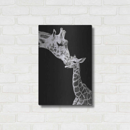 Luxe Metal Art 'First Love - Giraffe' by Incado, Metal Wall Art,16x24