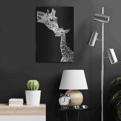 Luxe Metal Art 'First Love - Giraffe' by Incado, Metal Wall Art,16x24