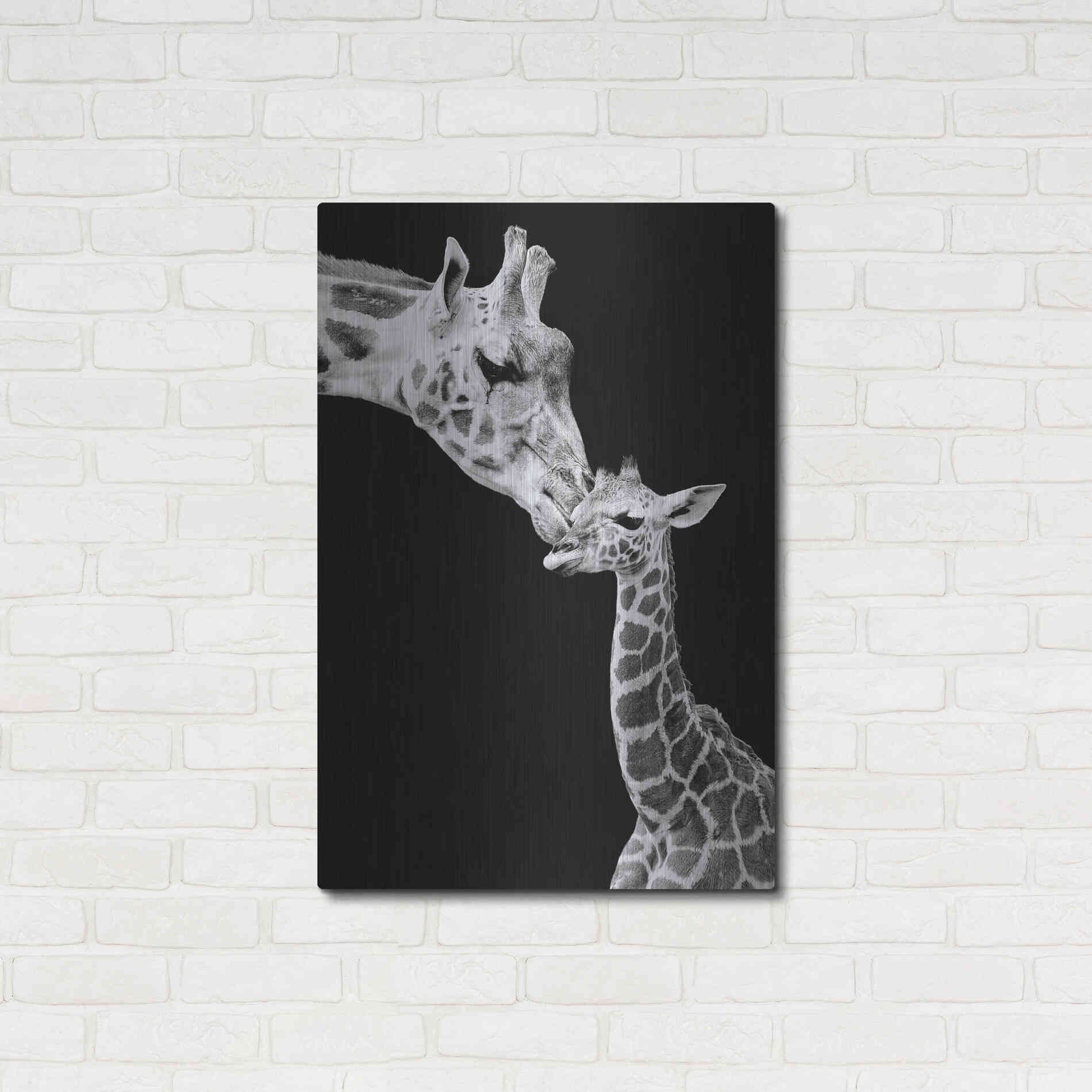 Luxe Metal Art 'First Love - Giraffe' by Incado, Metal Wall Art,24x36