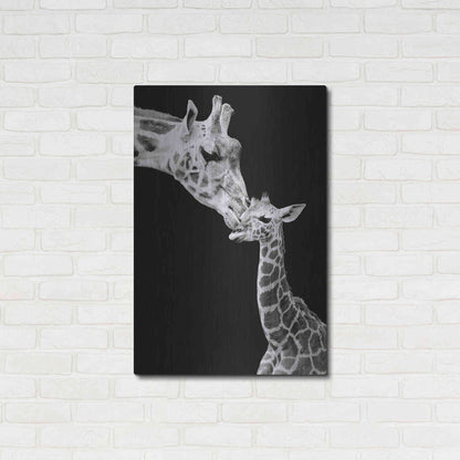 Luxe Metal Art 'First Love - Giraffe' by Incado, Metal Wall Art,24x36