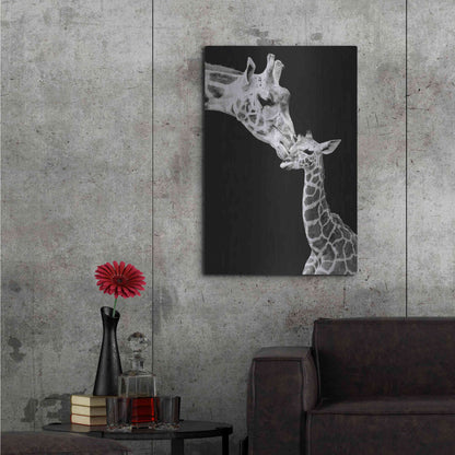Luxe Metal Art 'First Love - Giraffe' by Incado, Metal Wall Art,24x36